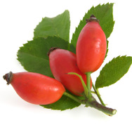 Rosehip Seed Oil Certified Organic