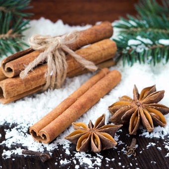 Winter Spice Natural Fragrance Oil