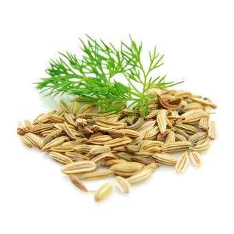 Fennel Sweet Essential Oil