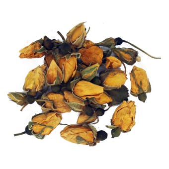 Rose Buds Yellow