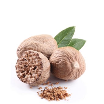 Nutmeg Essential Oil Certified Organic