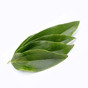 Cinnamon Leaf Essential Oil