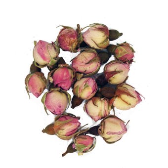 Rose Buds Pink