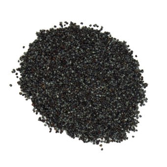 Poppy Seeds Blue