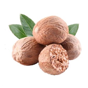 Nutmeg Essential Oil Indonesia