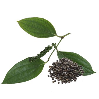 Pepper Black Essential Oil